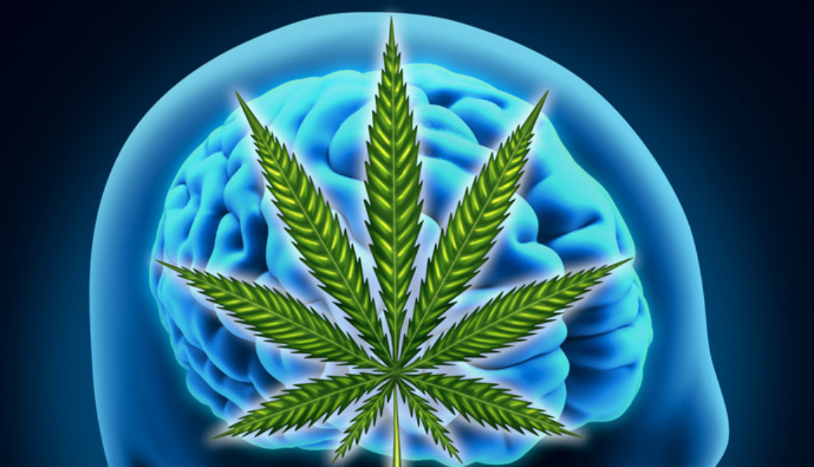 cannabis_epilepsy
