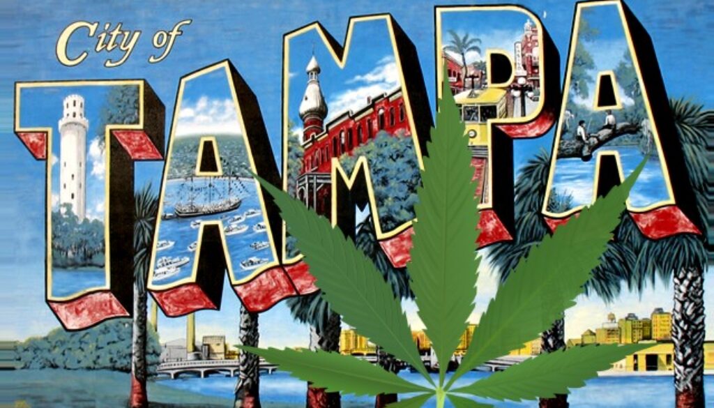 tampa cannabis