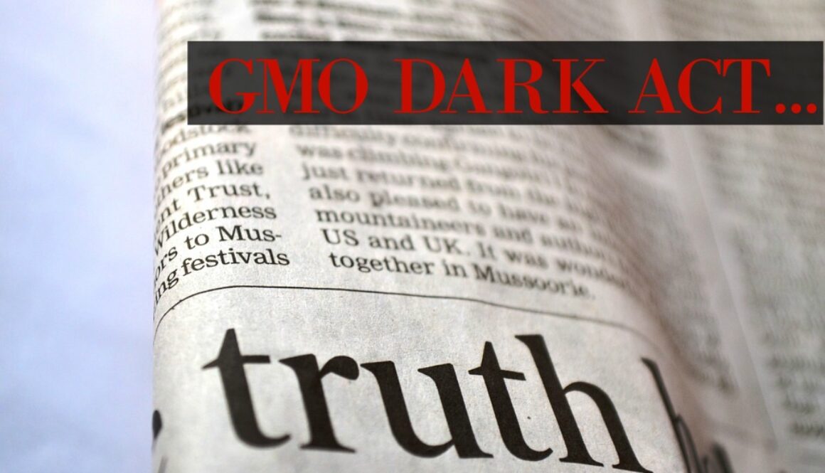 truth-166853_960_720