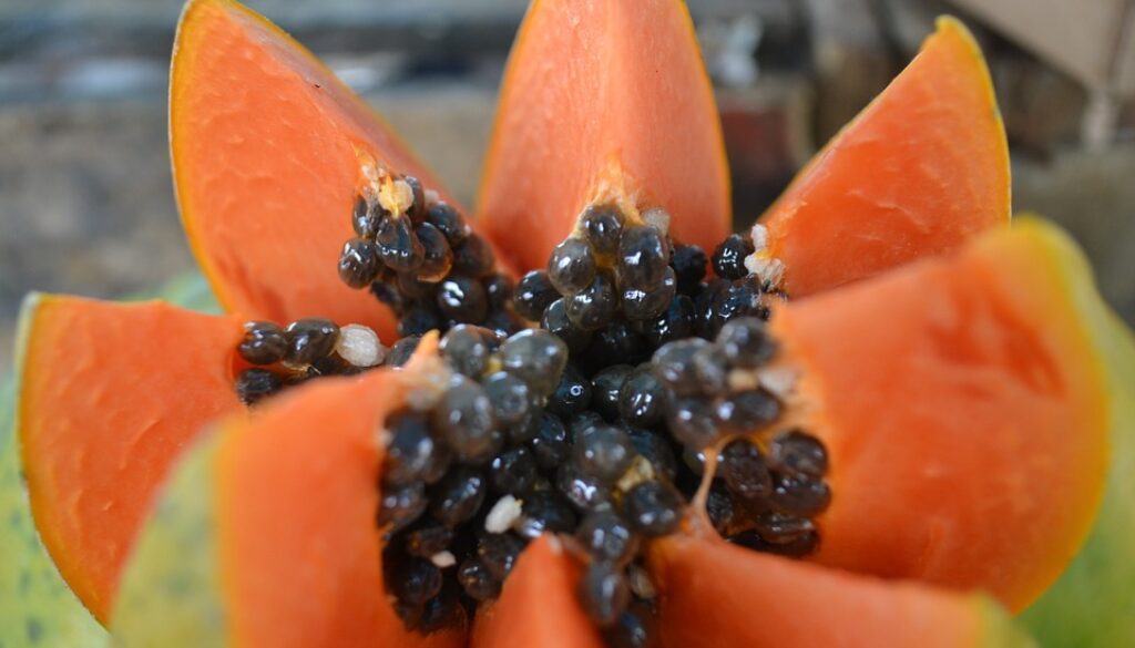 papaya-966322_960_720
