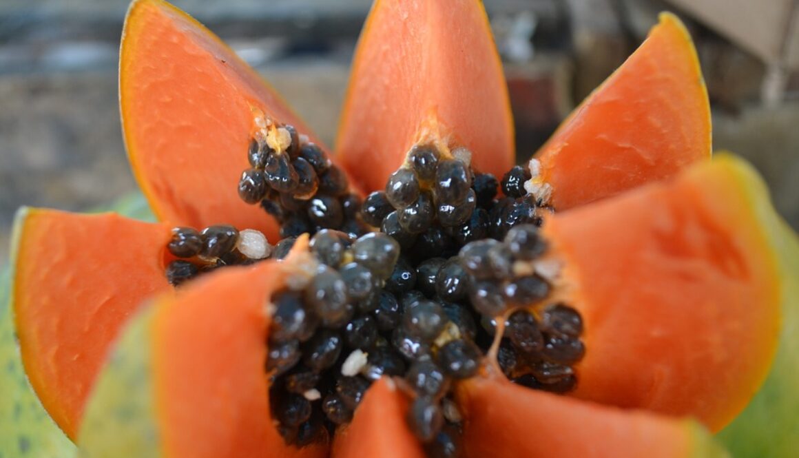 papaya-966322_960_720