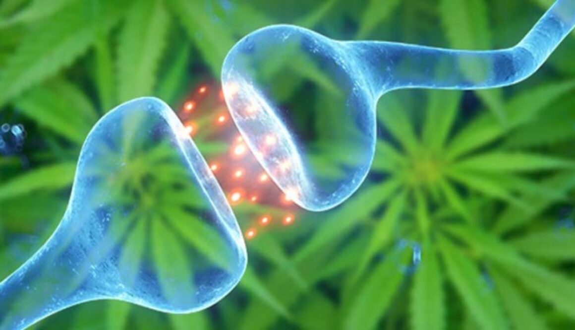 All-Cannabis-Use-is-Medicinal-700x368