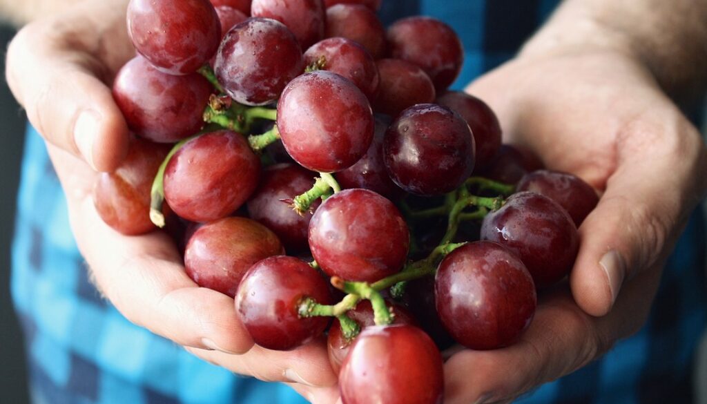 grapes-1442943_960_720