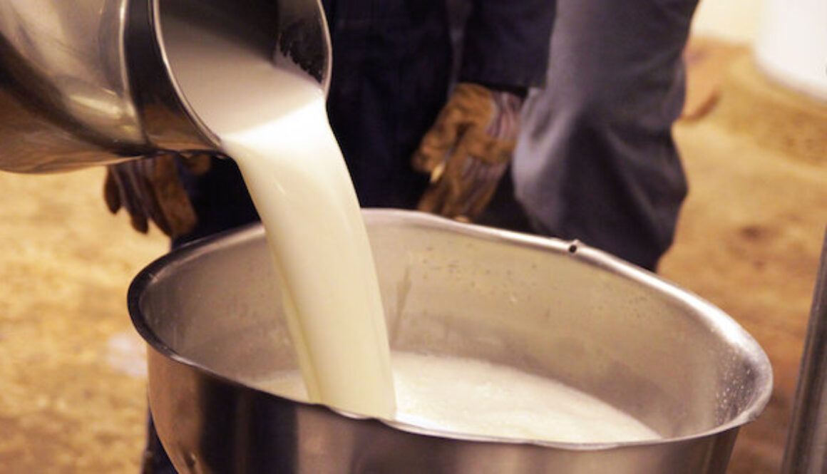 Raw-Milk-1 (1)
