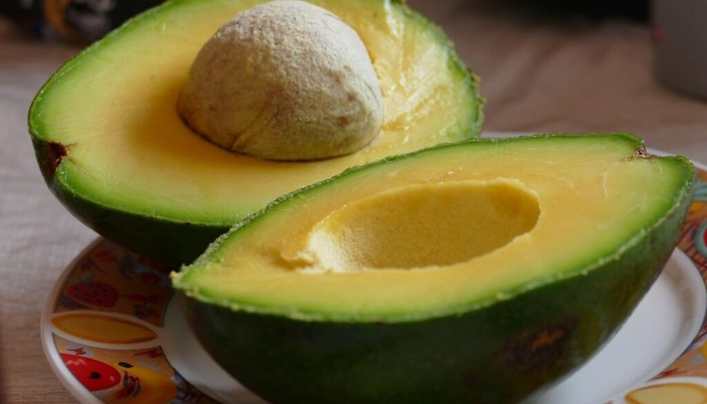 avocado-960x520
