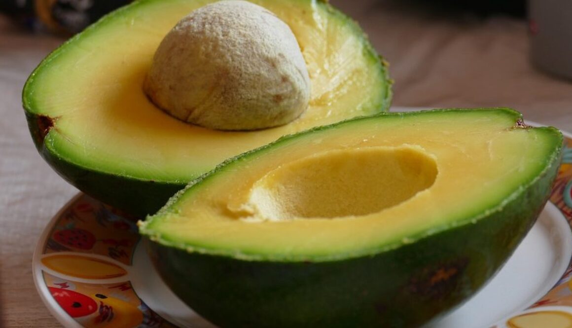 avocado-960x520