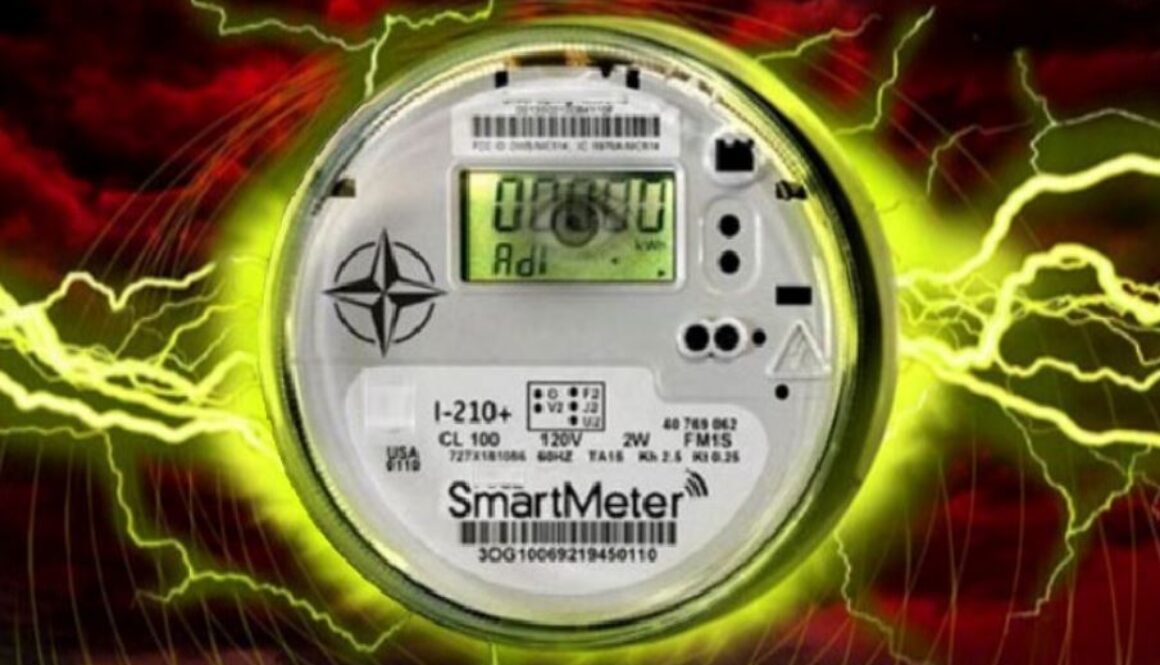 dees-smart-meter