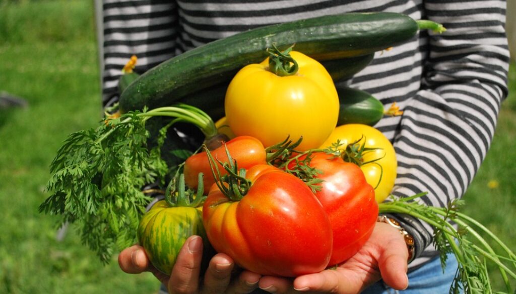 vegetables-742095_960_720