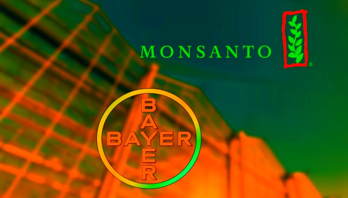 bayer_monsanto-1024x583-700x399