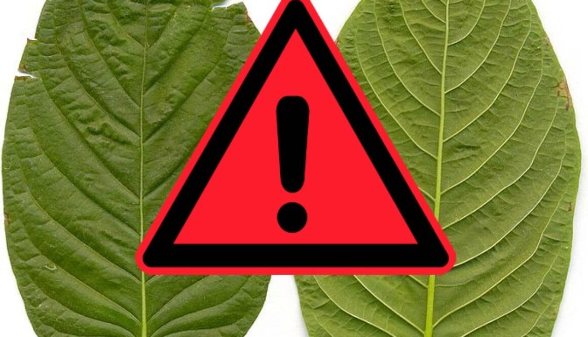 kratom-ban-action-alert