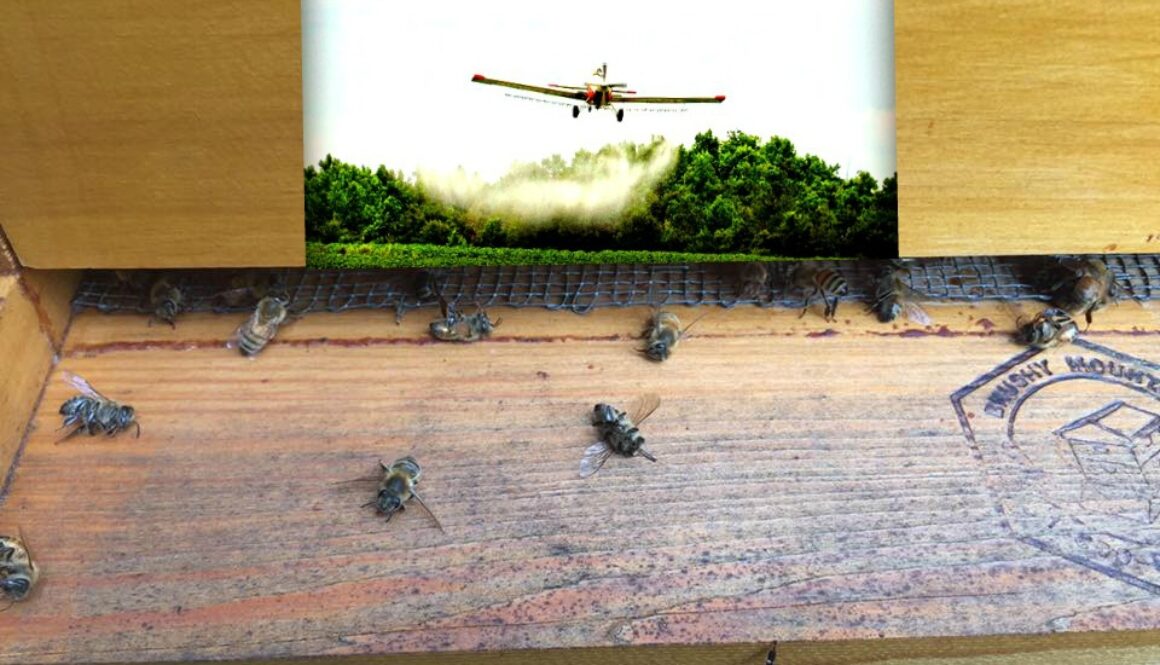 dead-bees-zika1