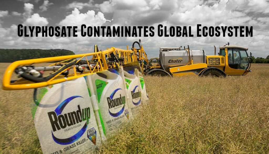 glyphosate-contaminates-global-ecosystem