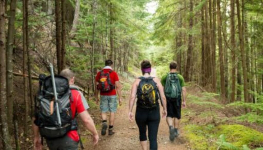 hiking-650x250