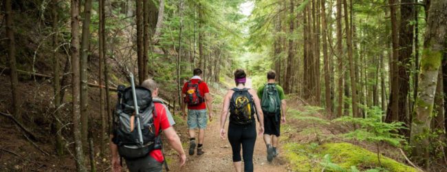 hiking-650x250 hiking-650x250