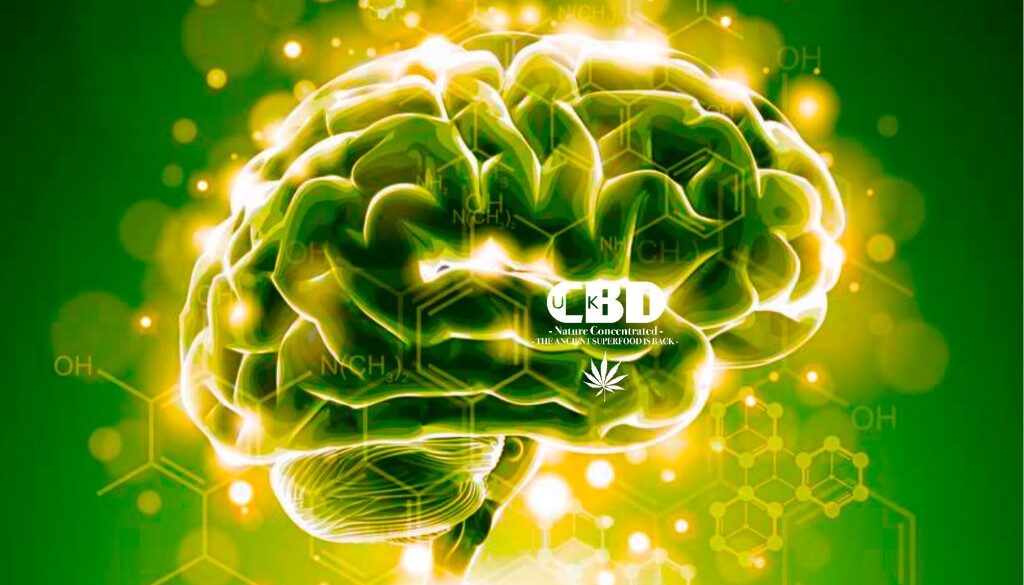 cbd-benefits-1024x633