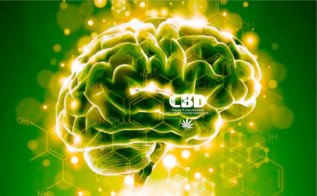 cbd-benefits-1024x633 cbd-benefits-1024x633