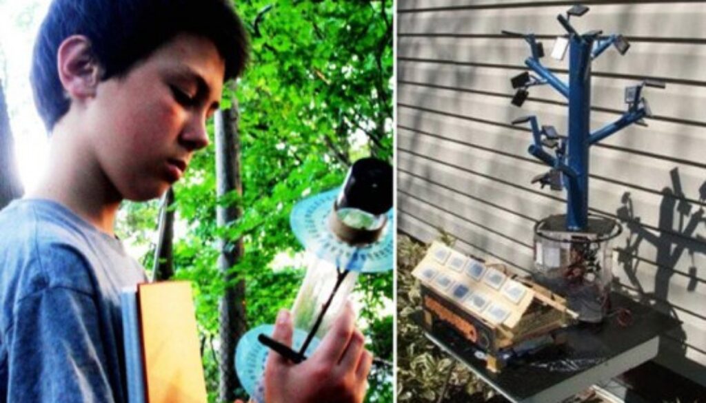 13-year-old-inventor-cracks-the-secret-of-trees-to-revolutionize-solar-energy