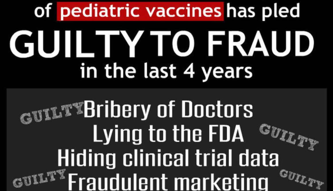 2393569