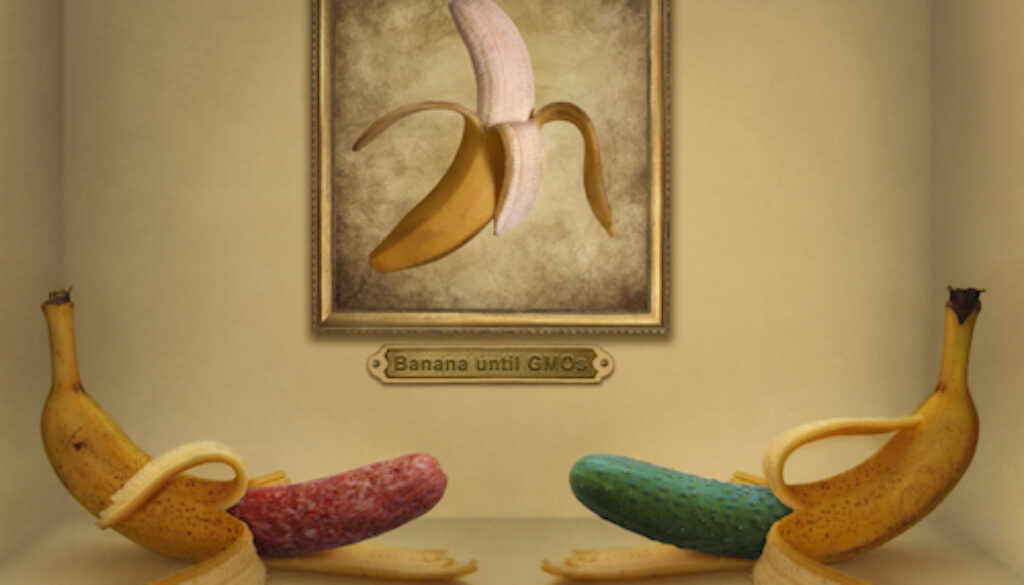 gmos-substantially-equivalent