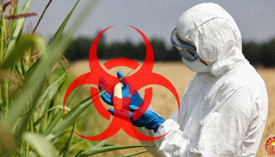 Monsanto-Roundup