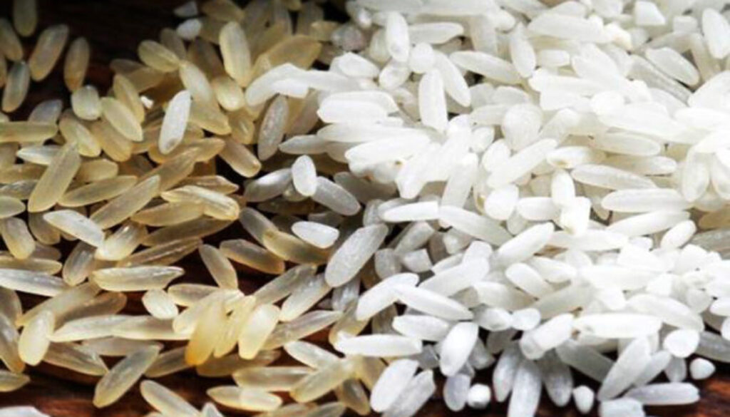 plastic-rice-1-696x435