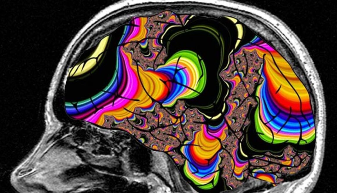 lsd