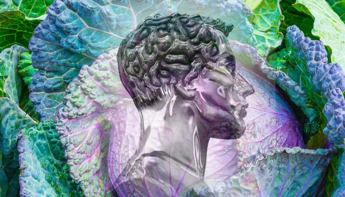 lutein brain