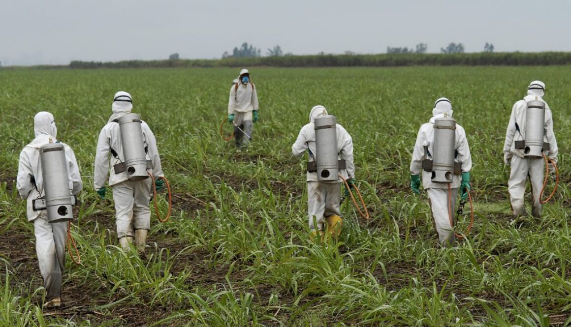 spraying-herbicide-000019257784_large_87993