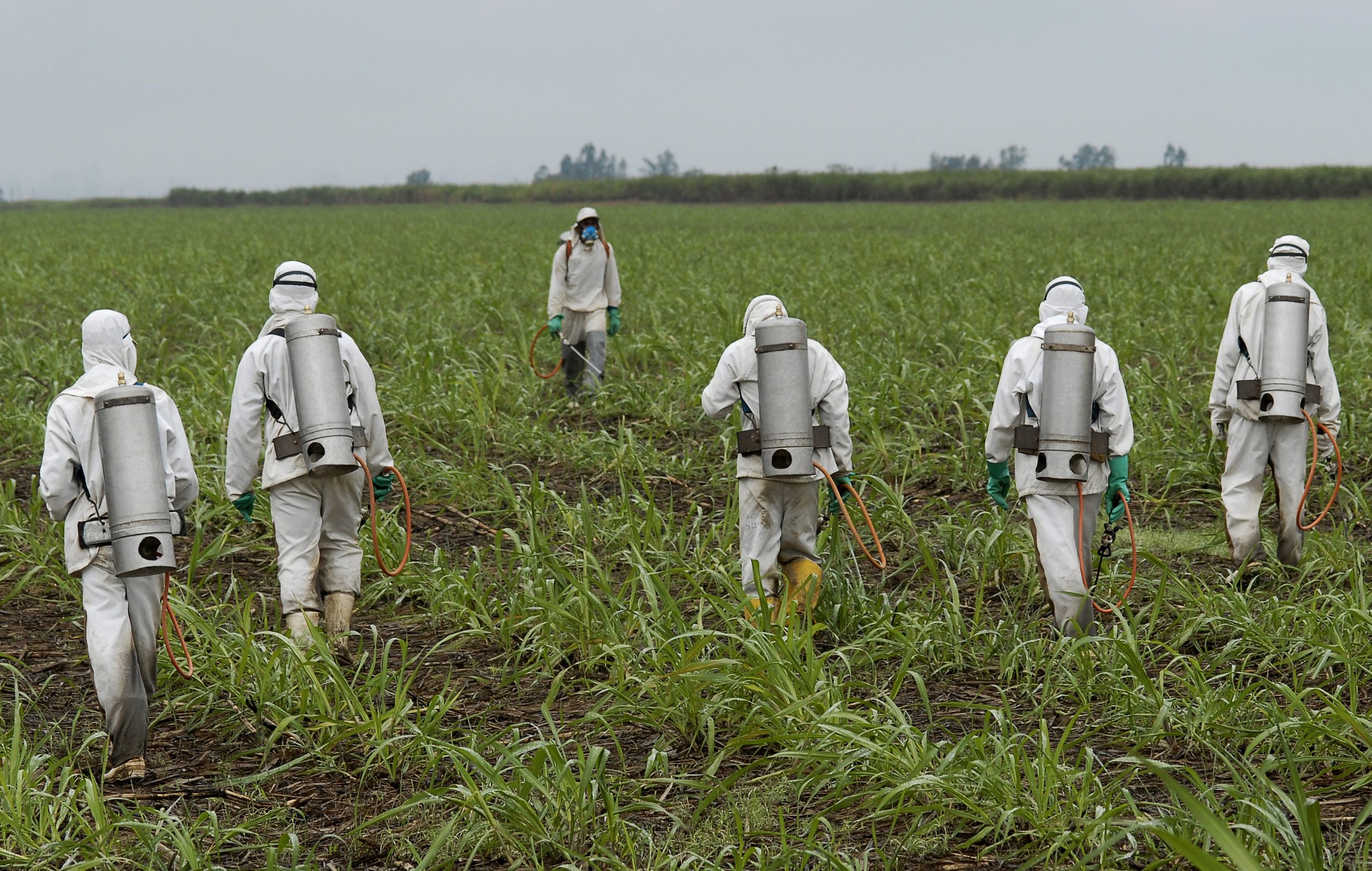 spraying-herbicide-000019257784_large_87993 spraying-herbicide-000019257784_large_87993