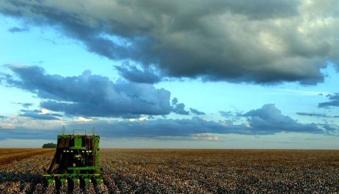 800px-Agriculture_in_Brazil-1-768x543