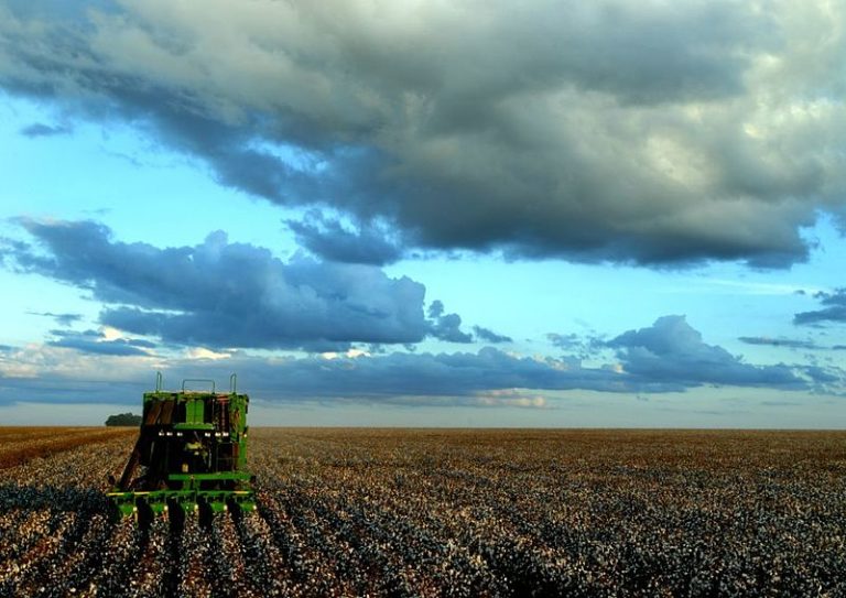 800px-Agriculture_in_Brazil-1-768x543 800px-Agriculture_in_Brazil-1-768x543