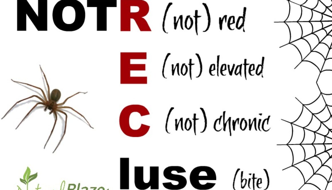 Not Recluse