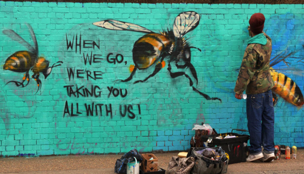 bee colonies