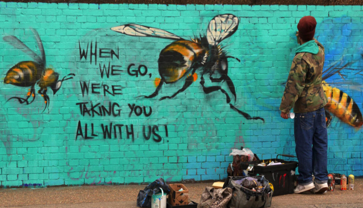 bee colonies