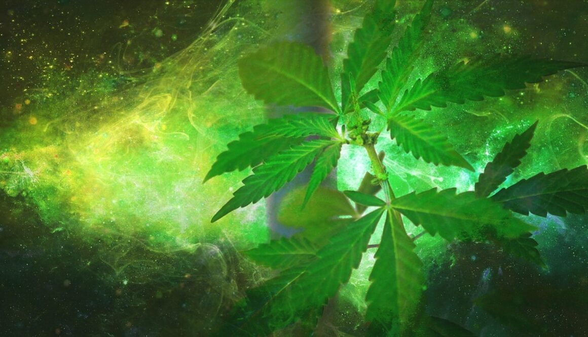 history of cannabis