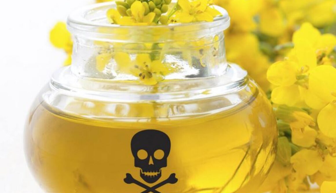 canola oil poison