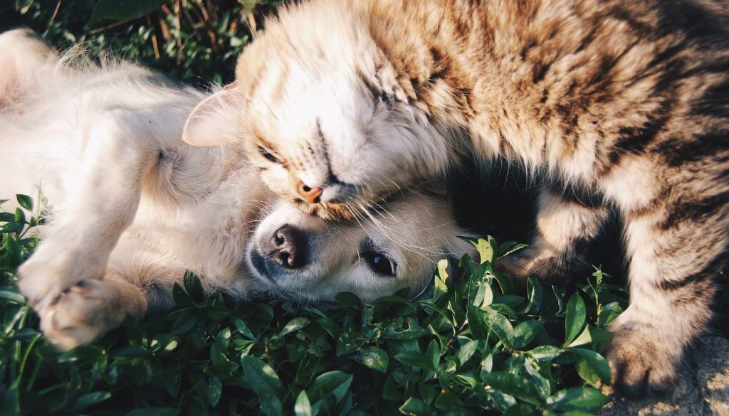 friends-1149841_1280