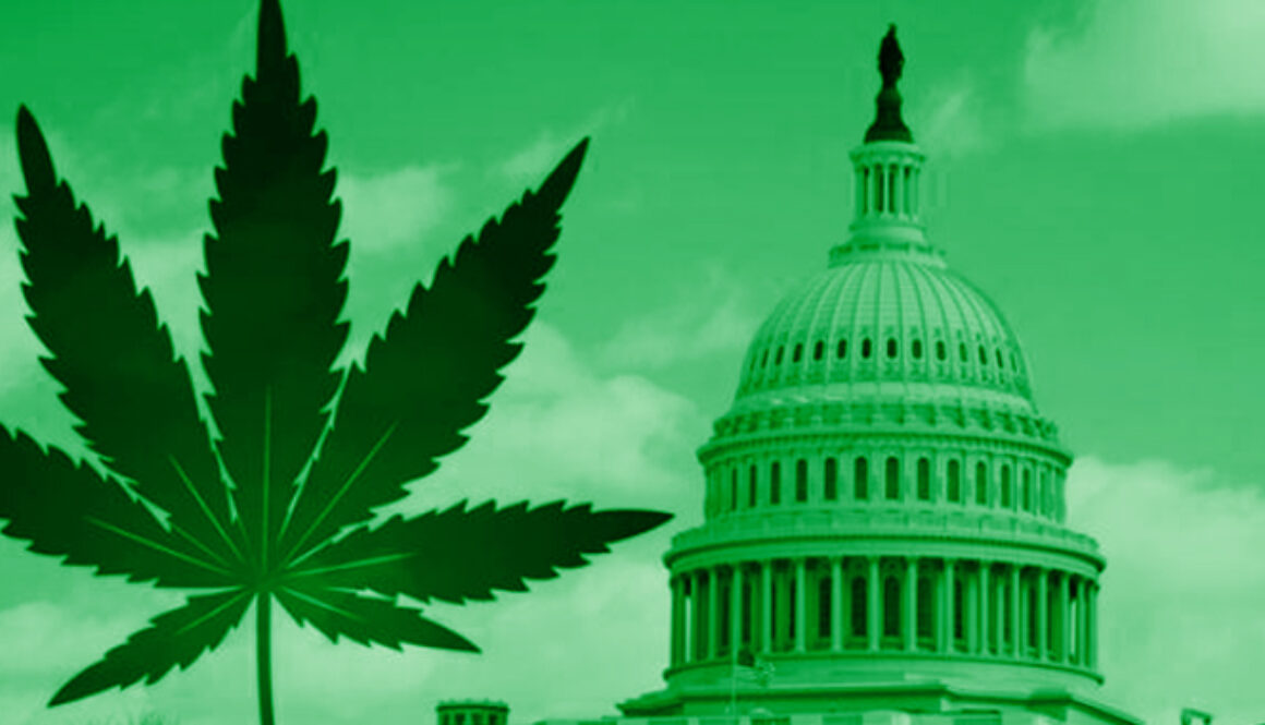 DCMarijuana