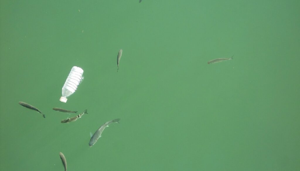 cafo polluted water