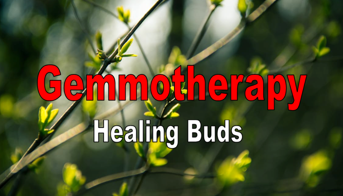 gemmotherapy