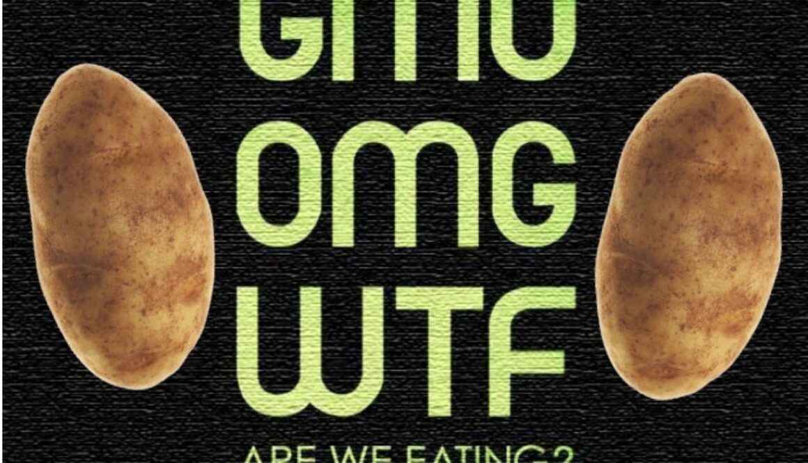 gmo potatoes