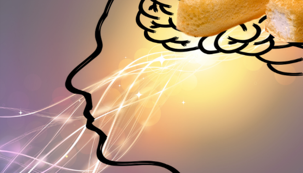 junk food shrinks brain