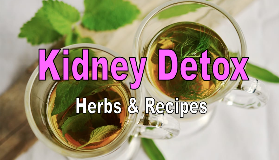 kidney-detox