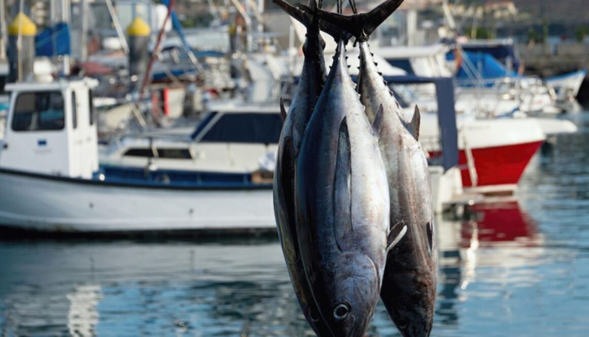 seafood choices
