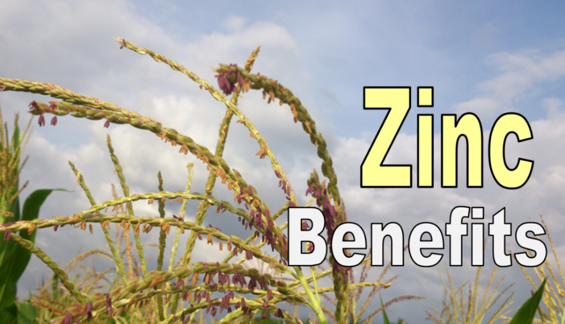 zinc-benefits