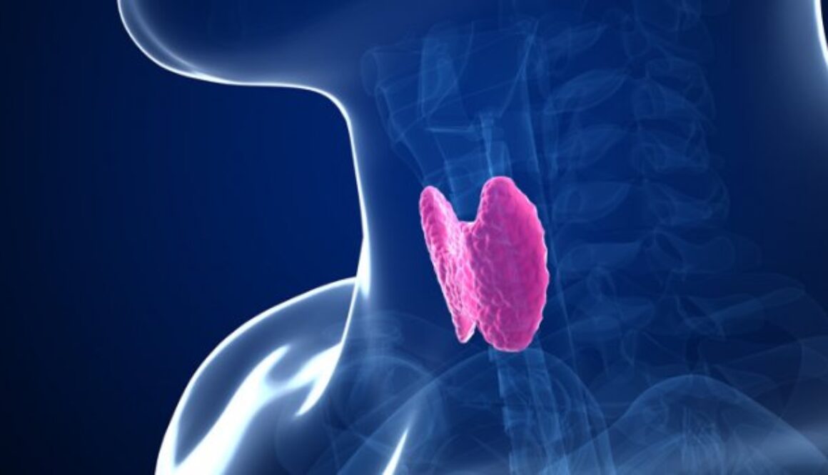 5thyroid