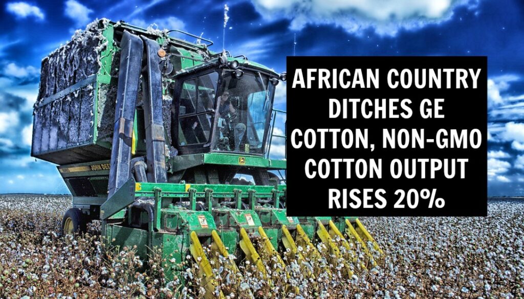 NON-GMO COTTON