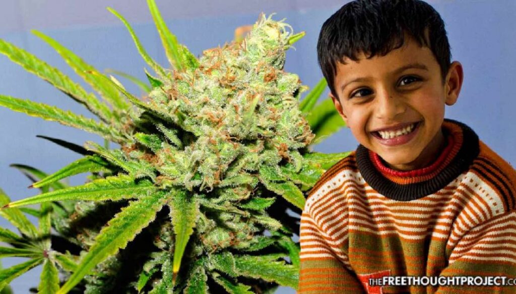 cannabis-autism-1024x538