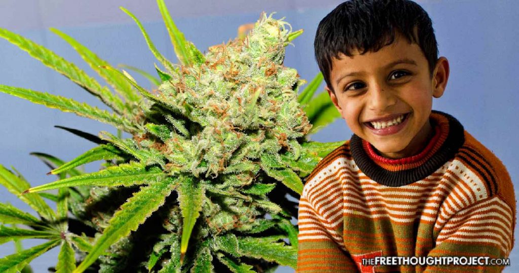 cannabis-autism-1024x538 cannabis-autism-1024x538