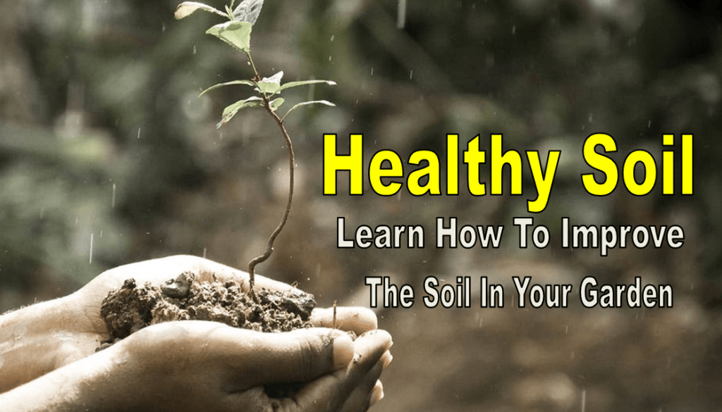 healthy-soil